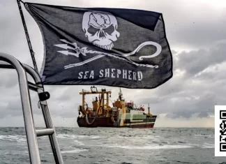 Libertad para Paul Watson por Moisés S. Palmero Aranda, Educador ambienta