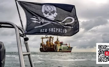 Libertad para Paul Watson por Moisés S. Palmero Aranda, Educador ambienta