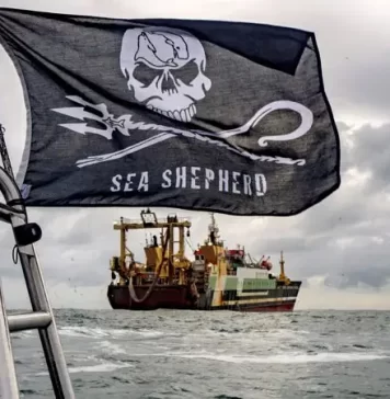 Libertad para Paul Watson por Moisés S. Palmero Aranda, Educador ambienta