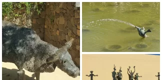 Parque del Oeste de Málaga