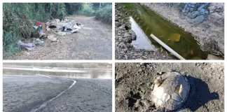 PACMA denuncia la gestión "deficiente" del embalse de Las Medranas en Marbella