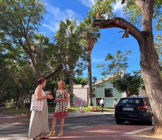 El PSOE acusa a De la Torre de “dejar morir” el arbolado de los barrios de Málaga