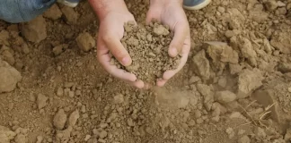 La Junta aprobará una línea de ayudas para las explotaciones afectadas por sequía extrema