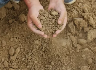 La Junta aprobará una línea de ayudas para las explotaciones afectadas por sequía extrema La Junta aprobará una línea de ayudas para las explotaciones afectadas por sequía extrema