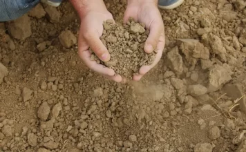 La Comisión de Sequía aprueba nuevas restricciones de agua en las Cuencas Mediterráneas Andaluzas La Junta aprobará una línea de ayudas para las explotaciones afectadas por sequía extrema