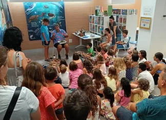 Bibliotecas por un futuro sostenible