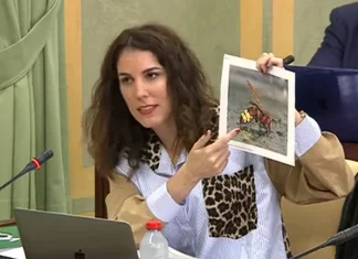 VOX afea al PP su negativa a declarar la avispa oriental como “invasora” en Andalucía y dejar la decisión en manos del Gobierno de Sánchez