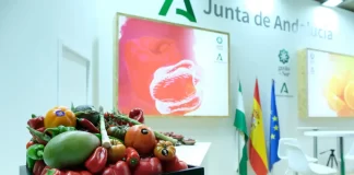 Andalucía, protagonista en Fruit Attraction 2024 con 7.000 m² dedicados a sus productos hortofrutícolas