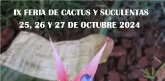 Casarabonela celebra su IX Feria del Cactus y Suculentas con una exposición que reúne 11.000 ejemplares de distintas especies vegetales