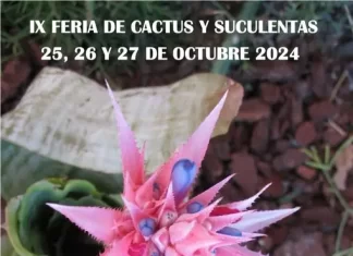 Casarabonela celebra su IX Feria del Cactus y Suculentas con una exposición que reúne 11.000 ejemplares de distintas especies vegetales