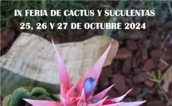 Casarabonela celebra su IX Feria del Cactus y Suculentas con una exposición que reúne 11.000 ejemplares de distintas especies vegetales Casarabonela celebra su IX Feria del Cactus y Suculentas con una exposición que reúne 11.000 ejemplares de distintas especies vegetales