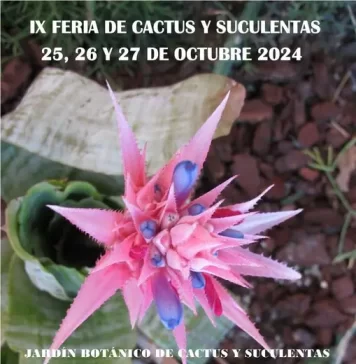 Casarabonela celebra su IX Feria del Cactus y Suculentas con una exposición que reúne 11.000 ejemplares de distintas especies vegetales