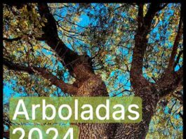 La Diputación recuperará una especie autóctona de zonas húmedas a través de sus arboladas de otoño La Diputación recuperará una especie autóctona de zonas húmedas a través de sus arboladas de otoño