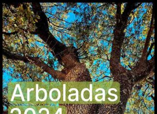 La Diputación recuperará una especie autóctona de zonas húmedas a través de sus arboladas de otoño La Diputación recuperará una especie autóctona de zonas húmedas a través de sus arboladas de otoño