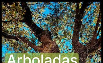 La Diputación recuperará una especie autóctona de zonas húmedas a través de sus arboladas de otoño