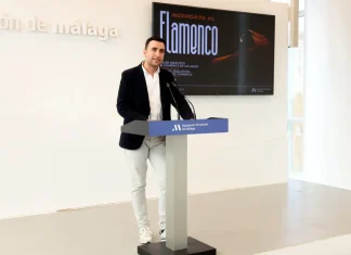 La Diputación celebrará el Día Internacional del Flamenco con la participación de 5.000 escolares de la provincia