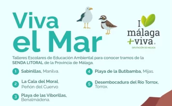 Escolares de municipios menores de 20.000 habitantes visitarán la Senda Litoral con el programa ‘Viva el Mar’ de la Diputación Escolares de municipios menores de 20.000 habitantes visitarán la Senda Litoral con el programa ‘Viva el Mar’ de la Diputación