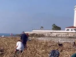 Torrox lleva a cabo un dispositivo especial de limpieza de playas ante la acumulación de cañas por el temporal
