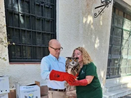 El delegado de Sostenibilidad participa en la suelta de 4 aves recuperadas en el CREA