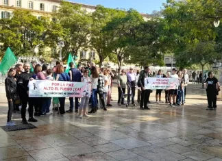 Concentraciones en mas de 50 ciudades y capitales de provincia convocadas bajo el lema: Por la Paz. Alto el Fuego ¡Ya! Ni Terrorismo, Ni Genocidio