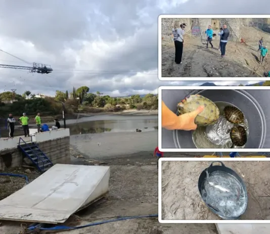 PACMA denuncia el «paripé» del Ayuntamiento de Marbella para ocultar una «gestión desastrosa» del embalse de Las Medranas