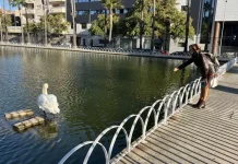 El PSOE advierte al consistorio del incumplimiento en el pliego la privatización del Parque del Oeste