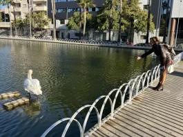 El PSOE advierte al consistorio del incumplimiento en el pliego la privatización del Parque del Oeste