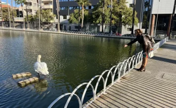 El PSOE advierte al consistorio del incumplimiento en el pliego la privatización del Parque del Oeste