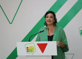 IU responsabiliza al PP del “golpe bajo” a la economía de miles de malagueños con su voto negativo al decreto ómnibus