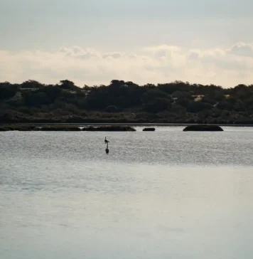 Humedales, ¡qué lugares!