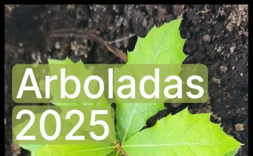 La Diputación inicia este año en Monda sus plantaciones participativas para regenerar espacios de uso ciudadano