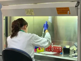 El Hospital Clínico Universitario Virgen de la Victoria participa en un proyecto de investigación para reducir la mortalidad hospitalaria por sepsis