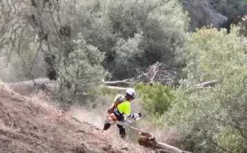 La Junta desarrolla los trabajos preventivos de incendios en los montes de la provincia