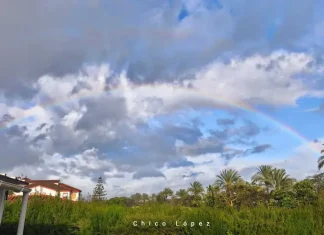 El 1-1-2 ha gestionado más de 1.700 incidencias en Cádiz, Málaga y Sevilla debido a las borrascas