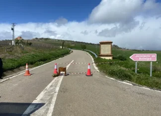 Cortado el acceso por carretera al yacimiento de Acinipo debido a un deslizamiento de tierras