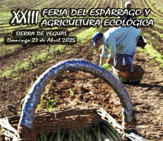 Sierra de Yeguas celebra este fin de semana su XXIII Feria del Espárrago y Agricultura Ecológica