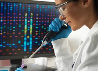 Un nuevo avance en bioimagen permite estudiar mejor las estructuras internas de las células vivas