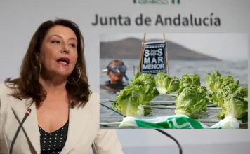 Carmen y los ecologistas