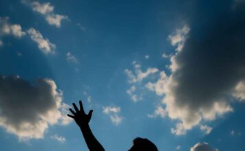 Artículo de análisis y reflexión: ¿Cuál es el sentido de la vida?