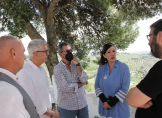 Con Málaga insta a La Junta de Andalucía a salvar el olivar tradicional de aceituna aloreña con reigo de apoyo de aguas depuradas