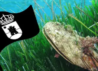 Semana de la Posidonia y la bandera negra