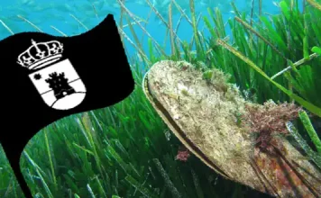 Semana de la Posidonia y la bandera negra
