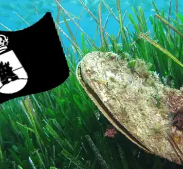 Semana de la Posidonia y la bandera negra