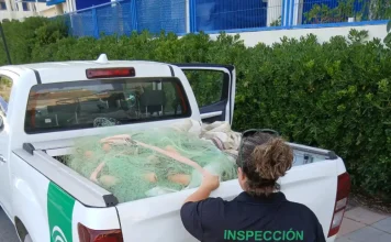 Inspección Pesquera de la Junta incauta artes de pesca ilegales en Málaga, en colaboración con el Seprona