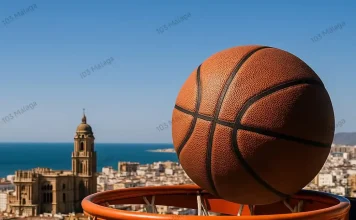 Últimas noticias del Unicaja: así marcha la plantilla, los fichajes y el Martín Carpena antes de la pretemporada