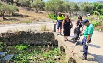 Monda blinda su salud pública con un plan integral de vigilancia y control contra el mosquito del Nilo
