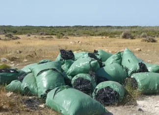 Los próximos vertederos de rafia