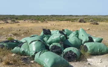 Los próximos vertederos de rafia