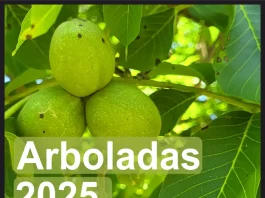 Las Arboladas de otoño se desarrollarán en un antiguo vertedero, un parque natural y embellecerán un área de turismo activo