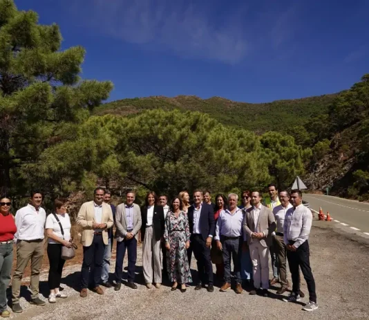La carretera entre Ronda y San Pedro recupera la normalidad tras finalizar las obras de reparación